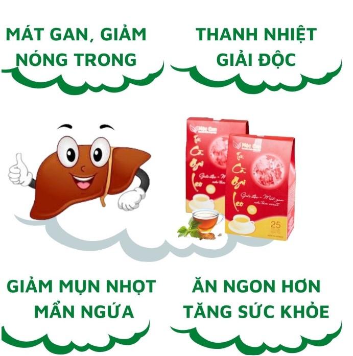 Trà cà gai leo Mộc Can