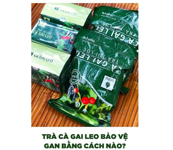 Trà cà gai leo Sadu