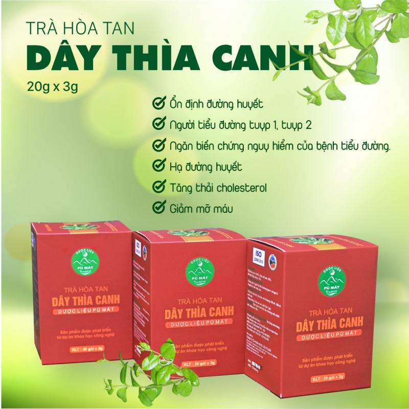 Trà Dây Thìa Canh dược liệu Pù Mát