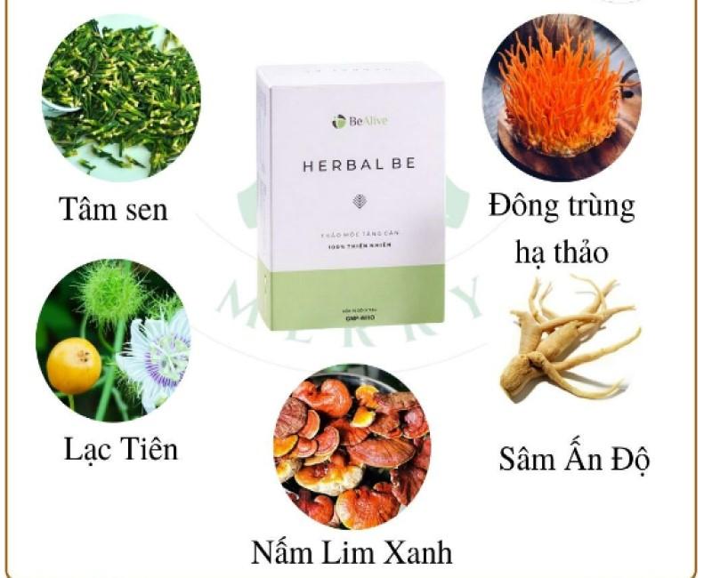 Trà tăng cân Herbal Be của BEALIVE