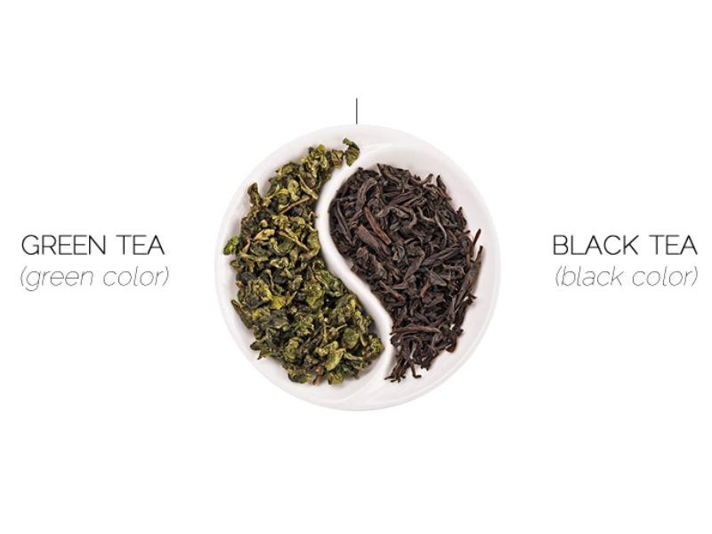 Trà xanh và trà đen