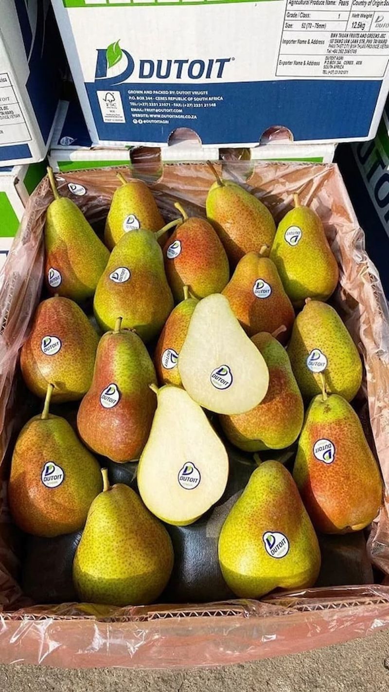 Trái cây Nhập khẩu DP Fruits