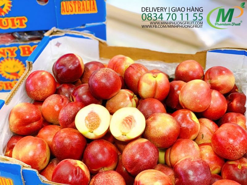 Trái Cây Nhập Khẩu - Minh Phuong Fruit có nguồn gốc rõ ràng, có tờ khai và giấy tờ nhập khẩu hoa quả đạt chuẩn