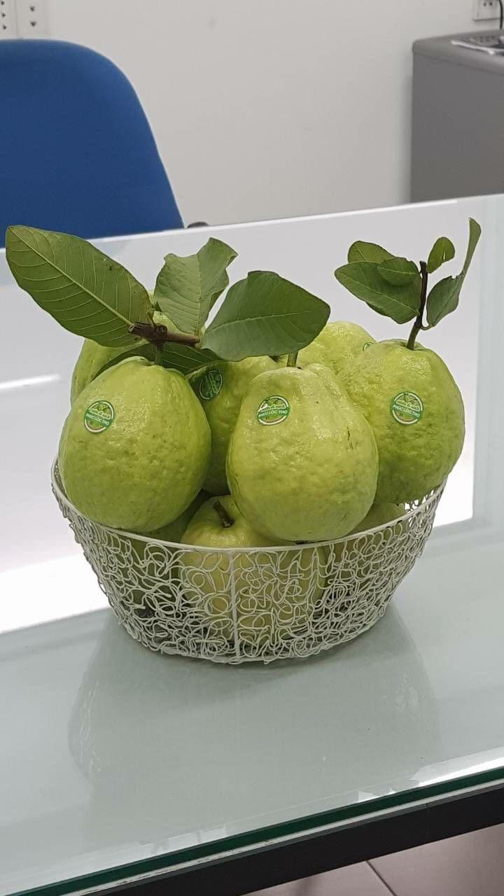 Trái Cây Nhập Khẩu - Minh Phuong Fruit