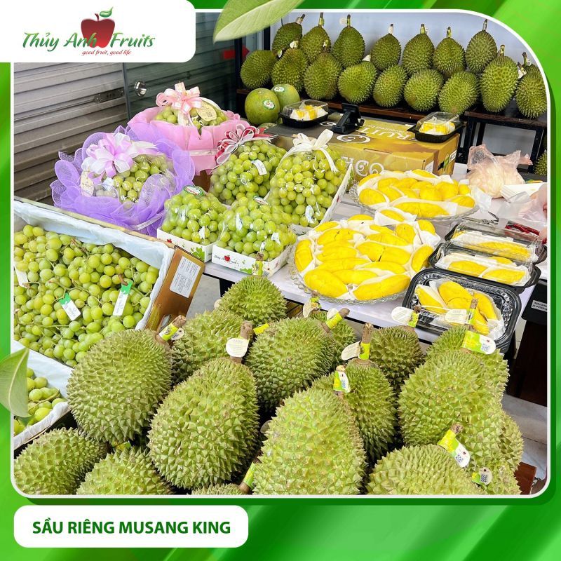 Trái cây nhập khẩu Thủy Anh Fruits