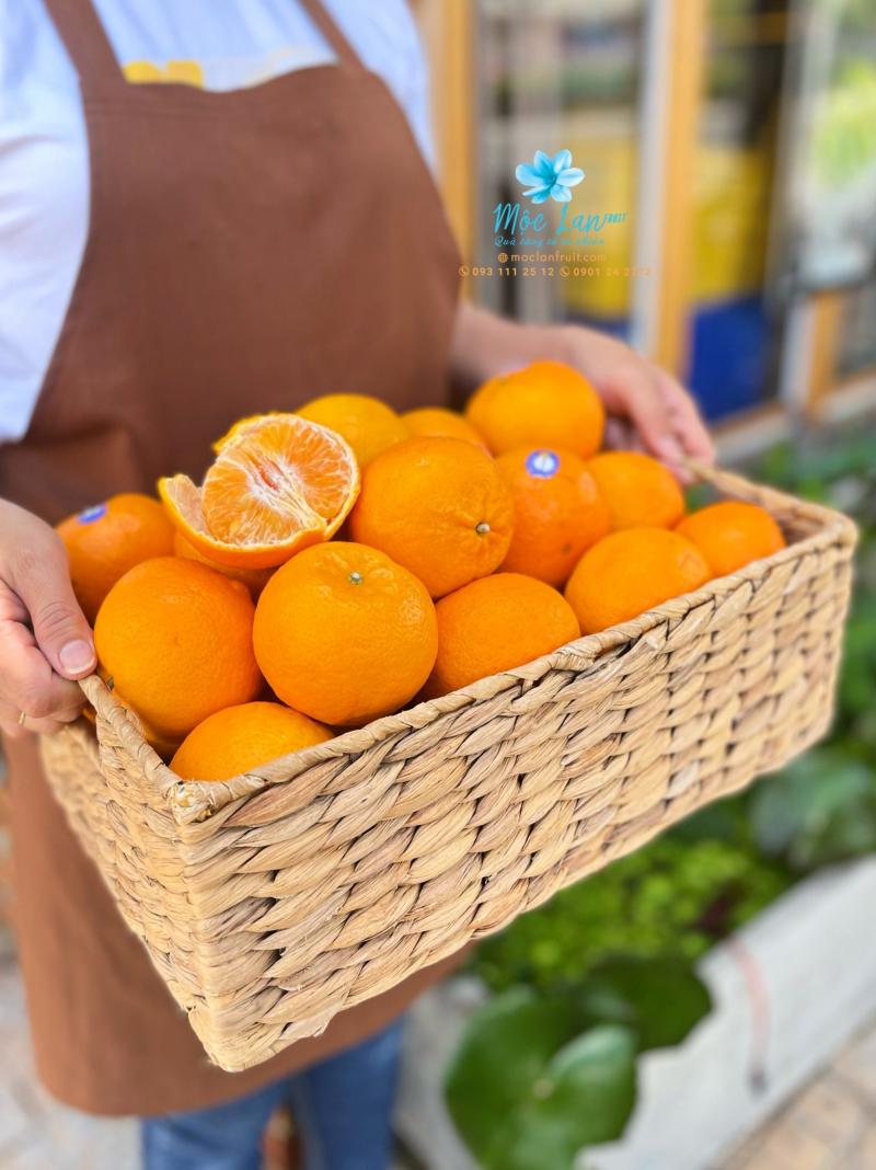 Mộc Lan Fruit