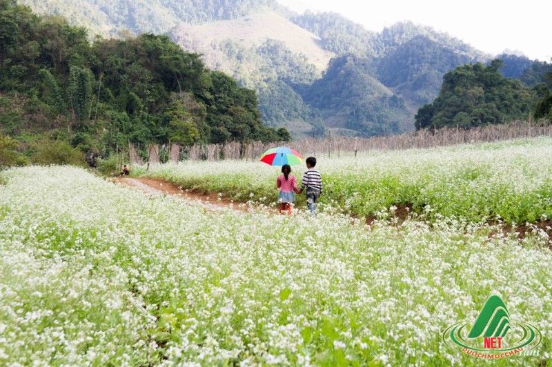 Mộc Châu, Sơn La