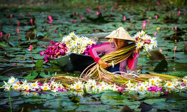 Miền Tây