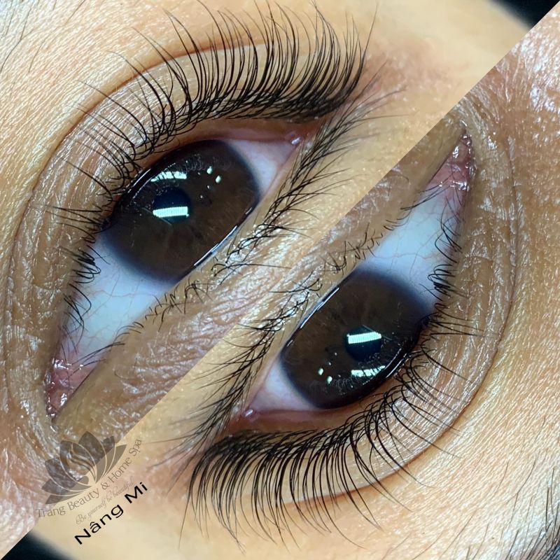 Trang Beauty Lashes