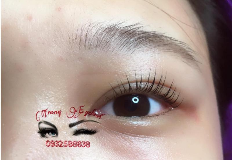 Trang Eyelash