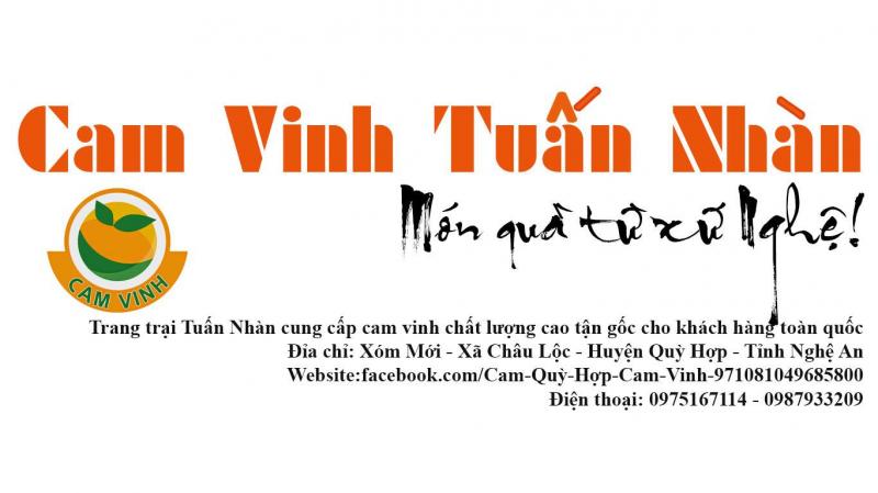 Trang trại cam ngon nổi tiếng nhất tại Nghệ An