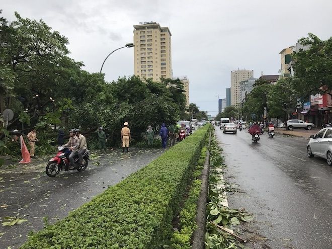 Tránh đi đoạn đường nhiều cây