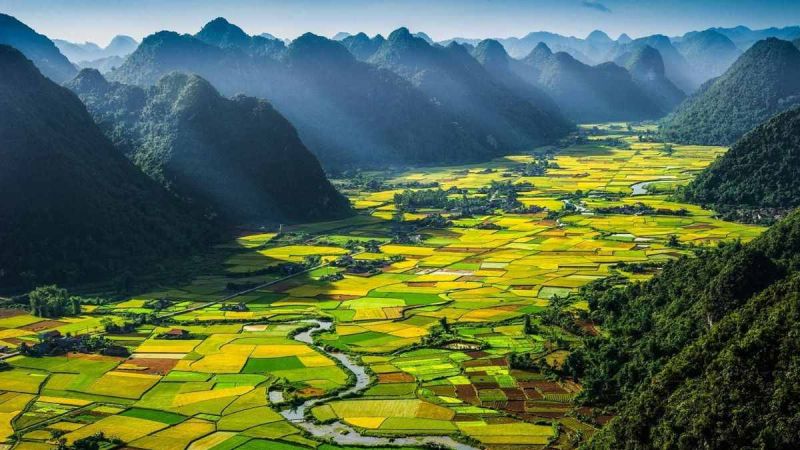 Nữ trung tùng phận