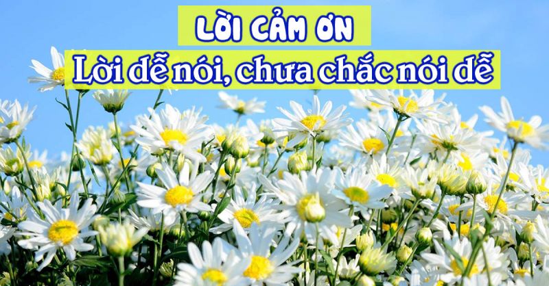 Hãy nói lời cảm ơn với người đã giúp mình