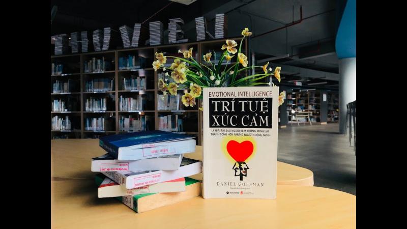 Trí Tuệ Xúc Cảm (Daniel Goleman)