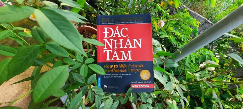 Trích dẫn hay số 5