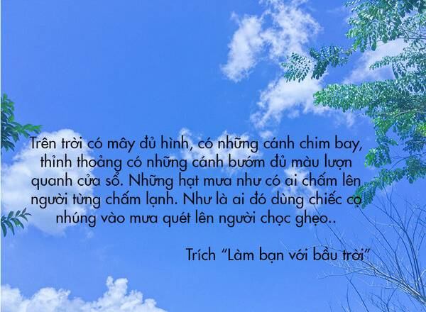 Trích dẫn hay số 7