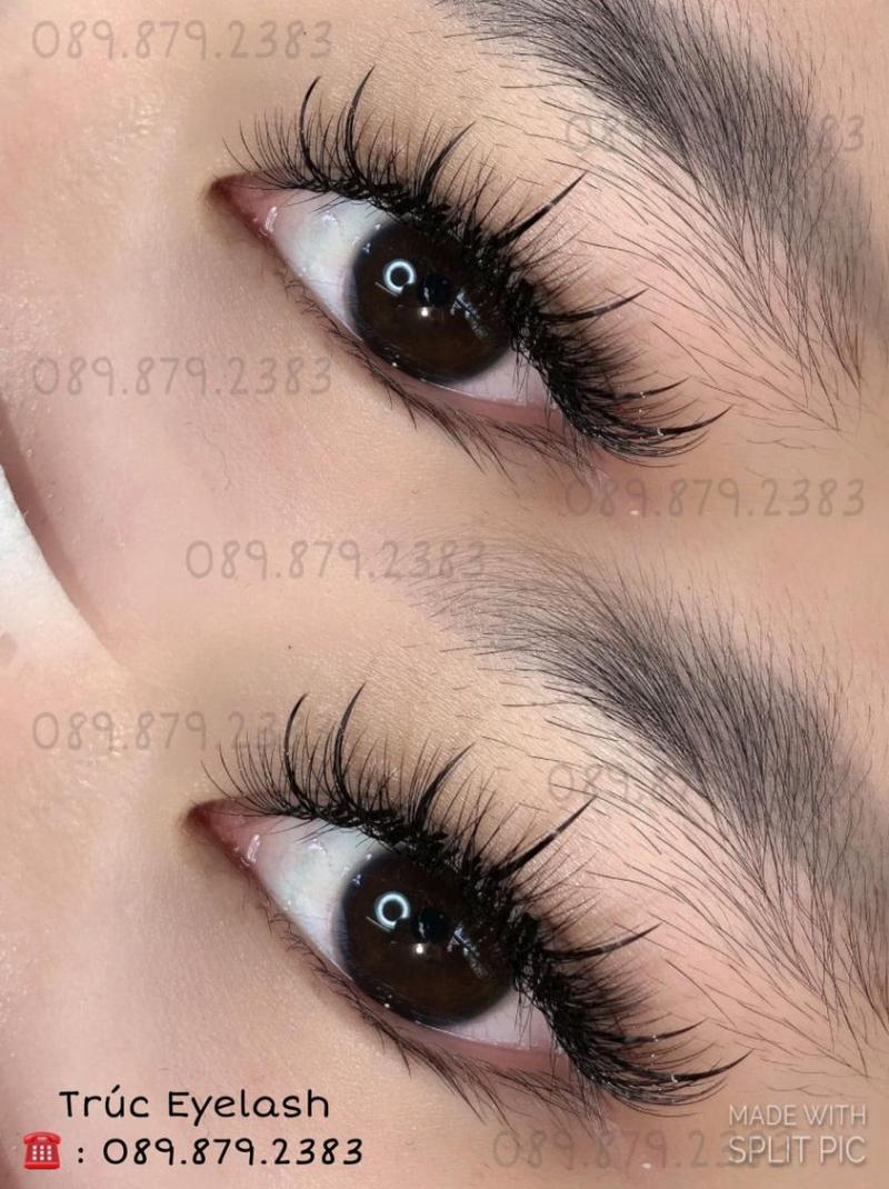 Trúc eyelash