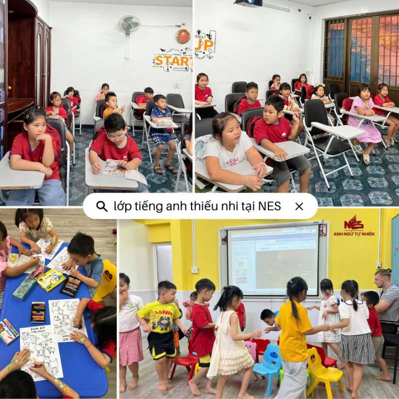 Trung tâm Anh ngữ Tự nhiên NES - Trung Tâm Tiếng Anh Hàng Đầu Vũng Tàu