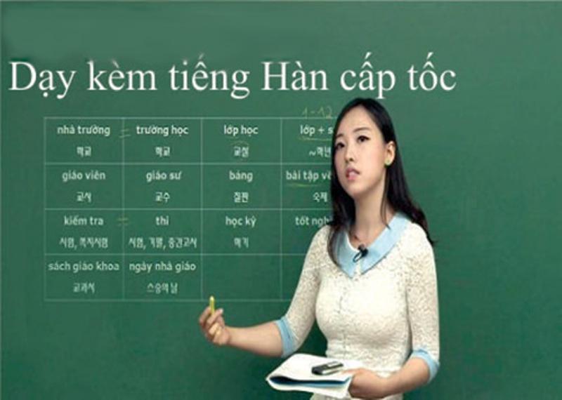 Trung tâm Ngoại ngữ Bách Khoa Việt