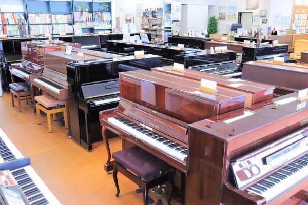 Trung tâm dạy đàn piano cho người lớn - Piano Ngọc Diệp