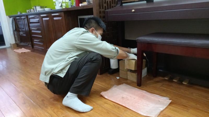 Trung tâm diệt mối và côn trùng Anh Tuấn