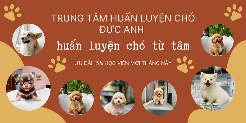 Trung Tâm Huấn Luyện Chó Đức Anh