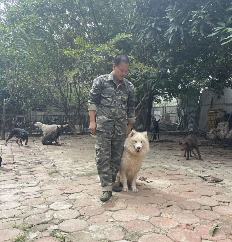 Trung Tâm Huấn Luyện Chó Đức Anh