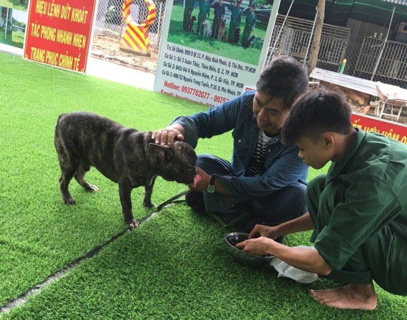 Trung tâm huấn luyện chó uy tín và chuyên nghiệp nhất Việt Nam