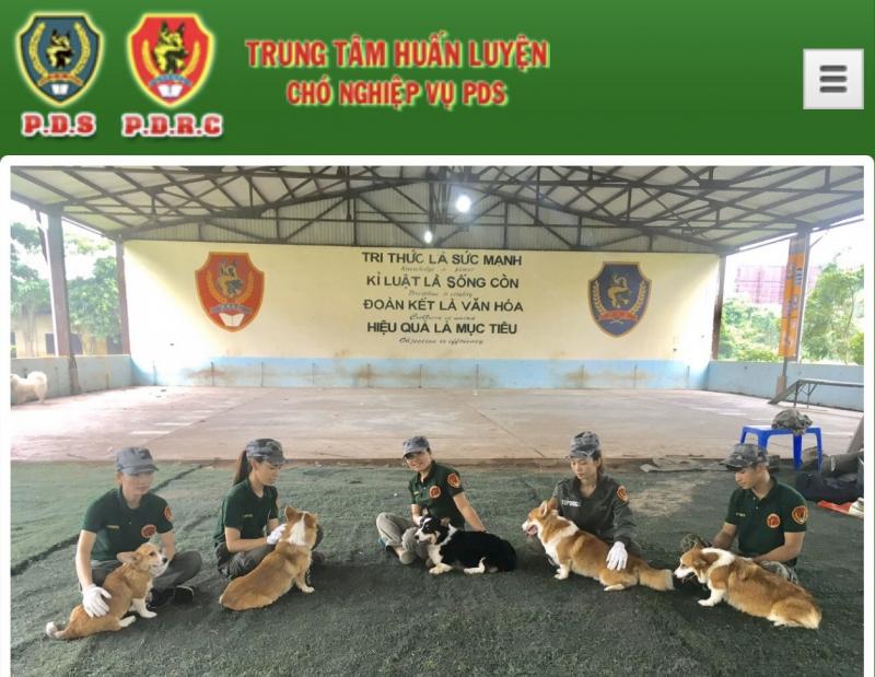 Trung tâm huấn luyện chó nghiệp vụ PDS tại Trâu Quỳ - Hà Nội