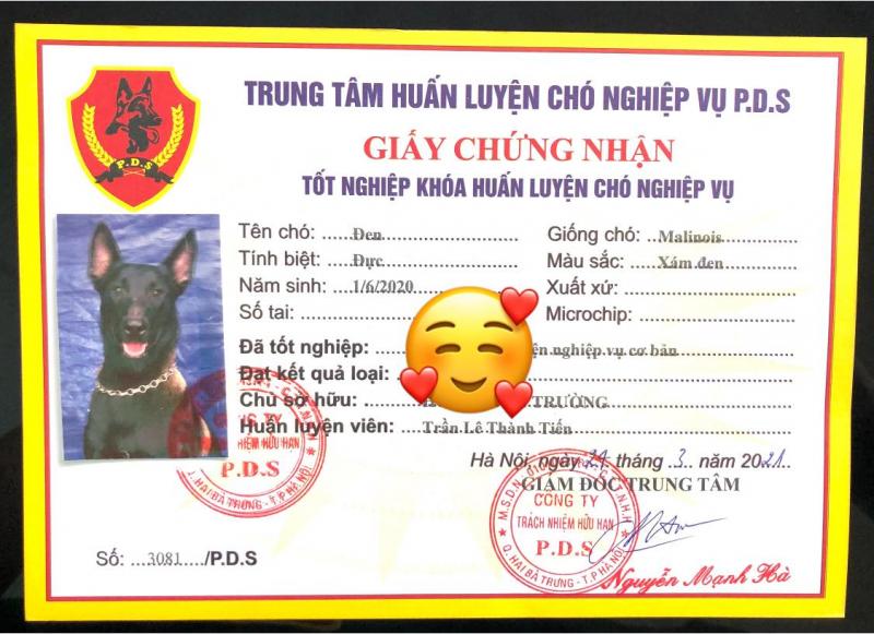 Trung tâm huấn luyện chó nghiệp vụ PDS tại Trâu Quỳ - Hà Nội