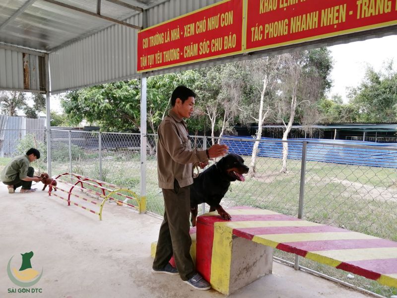 Trung Tâm Huấn Luyện Chó Sài Gòn DTC