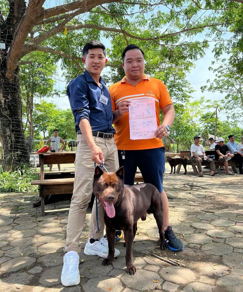 Trung Tâm Huấn Luyện Chó Trí Linh