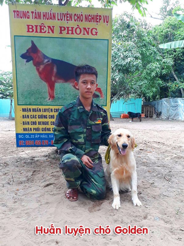 Trung tâm huấn luyện chó uy tín và chuyên nghiệp nhất Việt Nam