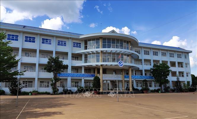 Trường Liên Cấp Sao Việt