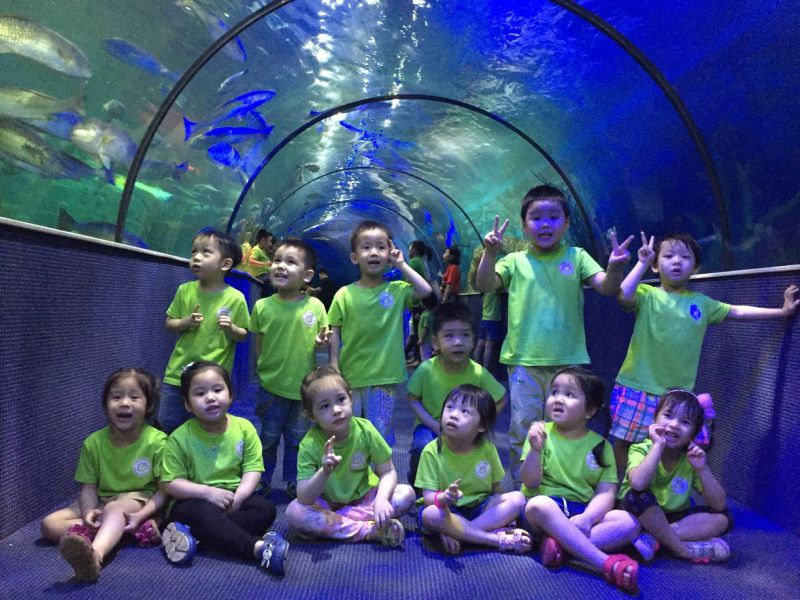 Các bé khám phá Thủy Cung Vinpearl Land Aquarium