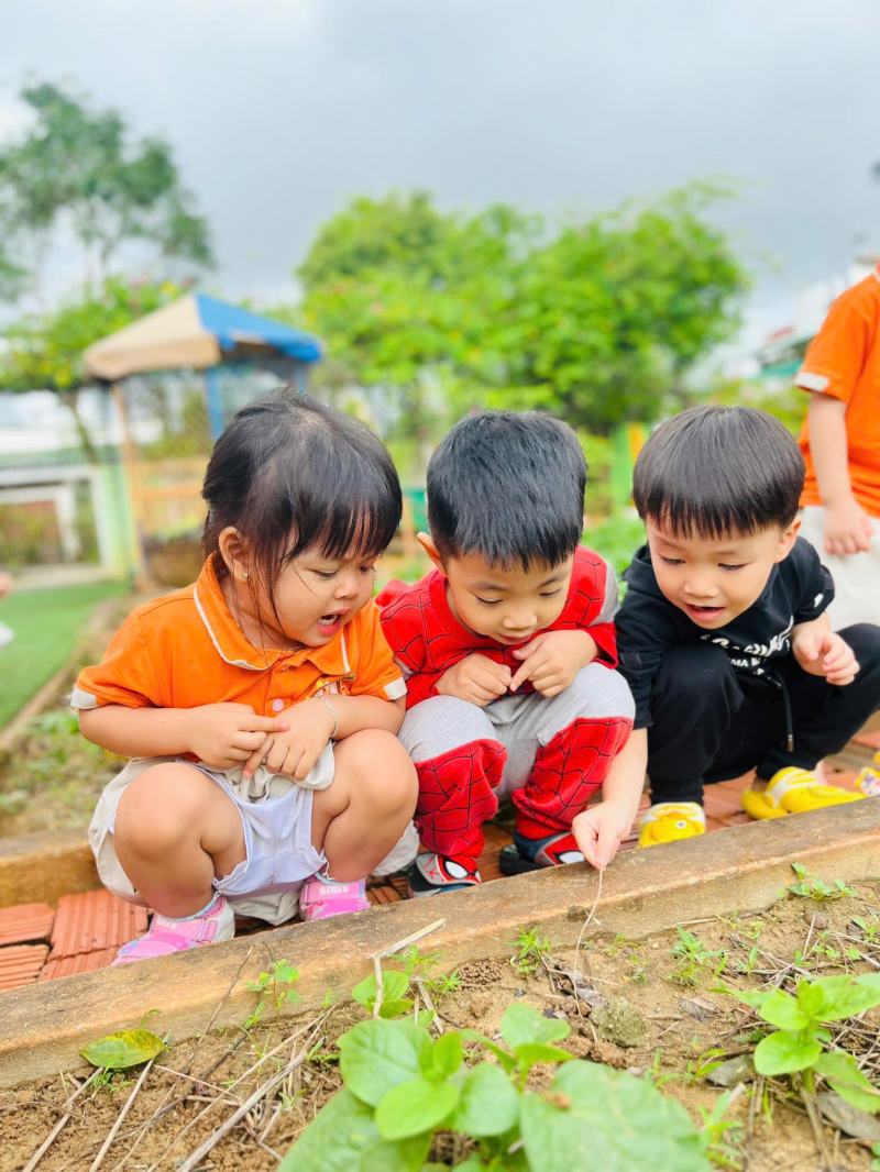 Trường mầm non CLC LẠC VIỆT