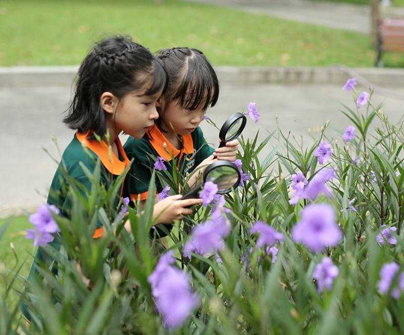 Món ăn của bé tại Trường Mầm non Green Galaxy