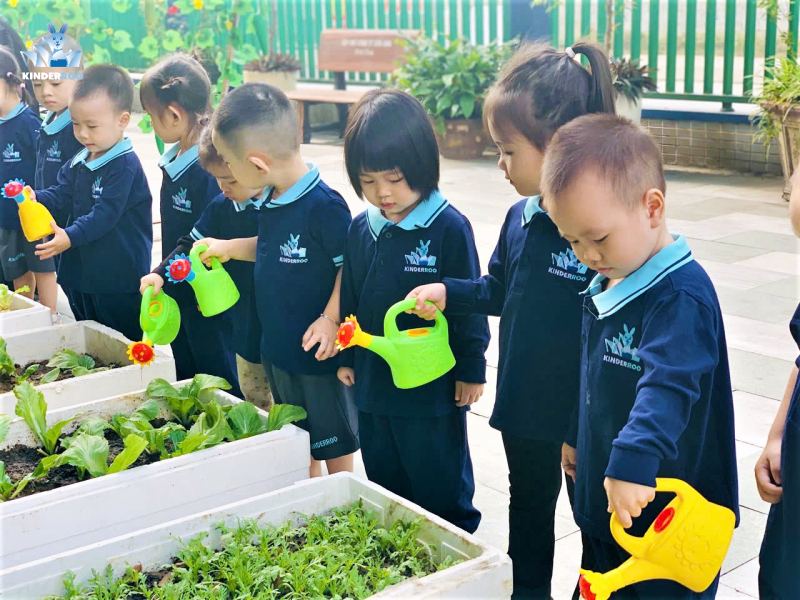 Trường Mầm Non Kinderroo School