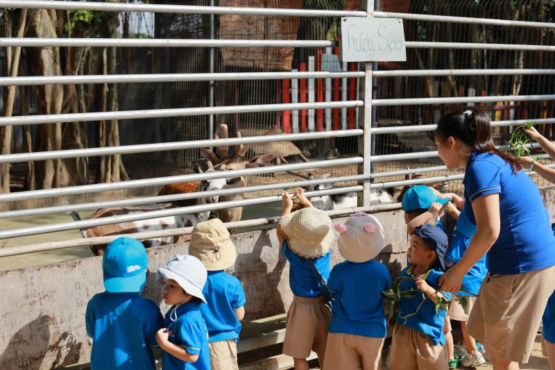 Trường mầm non Little People
