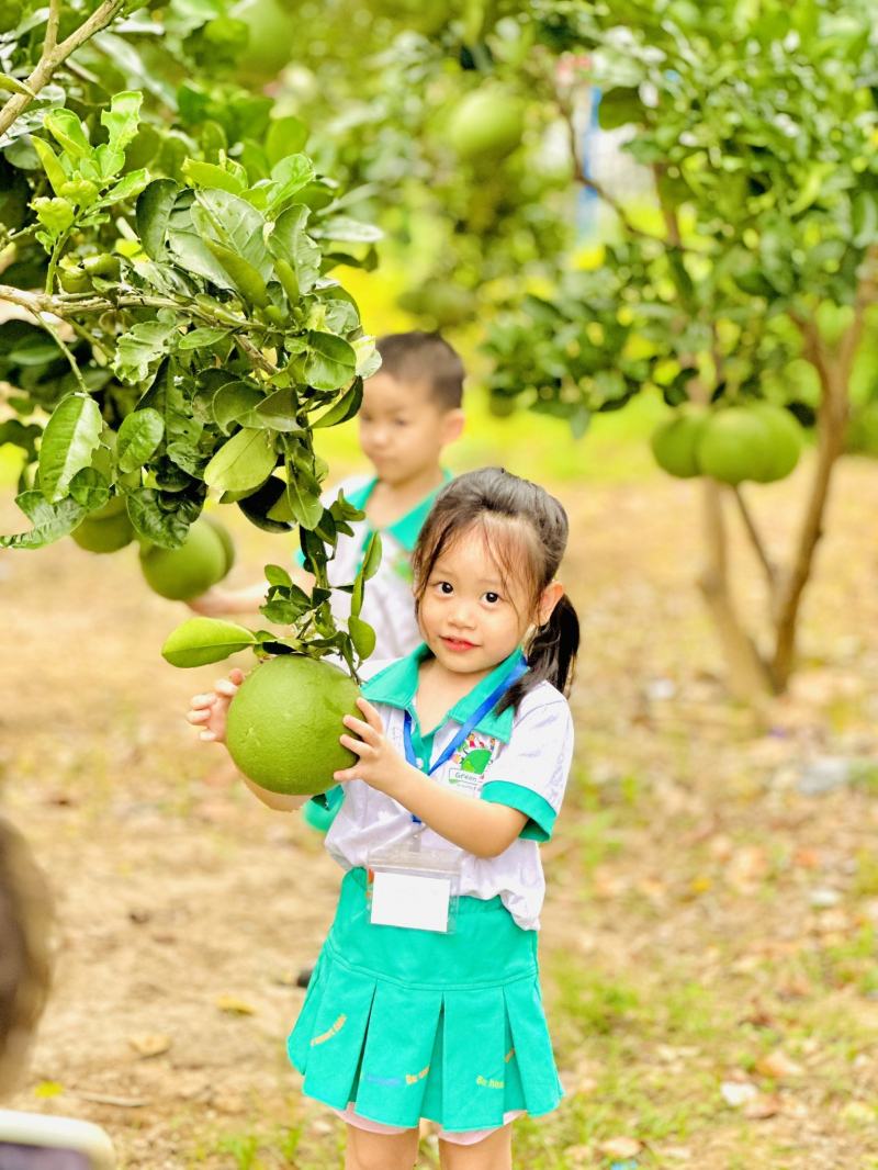 Trường mầm non quốc tế GreenWorld