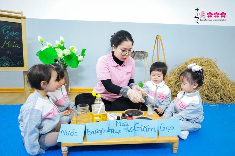 Trường mầm non Sakura Montessori