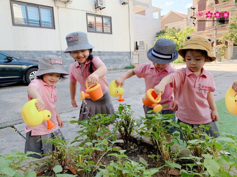 Trường mầm non Sakura Montessori Hạ Long