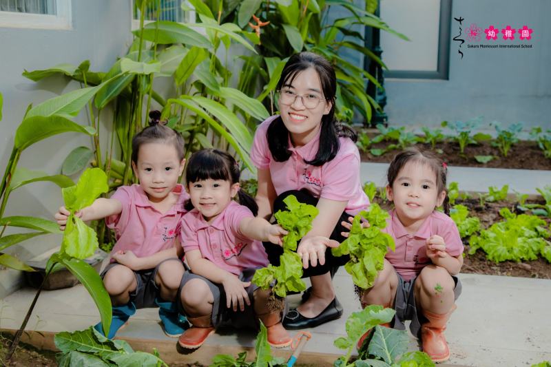 Trường Mầm non Sakura Montessori International School