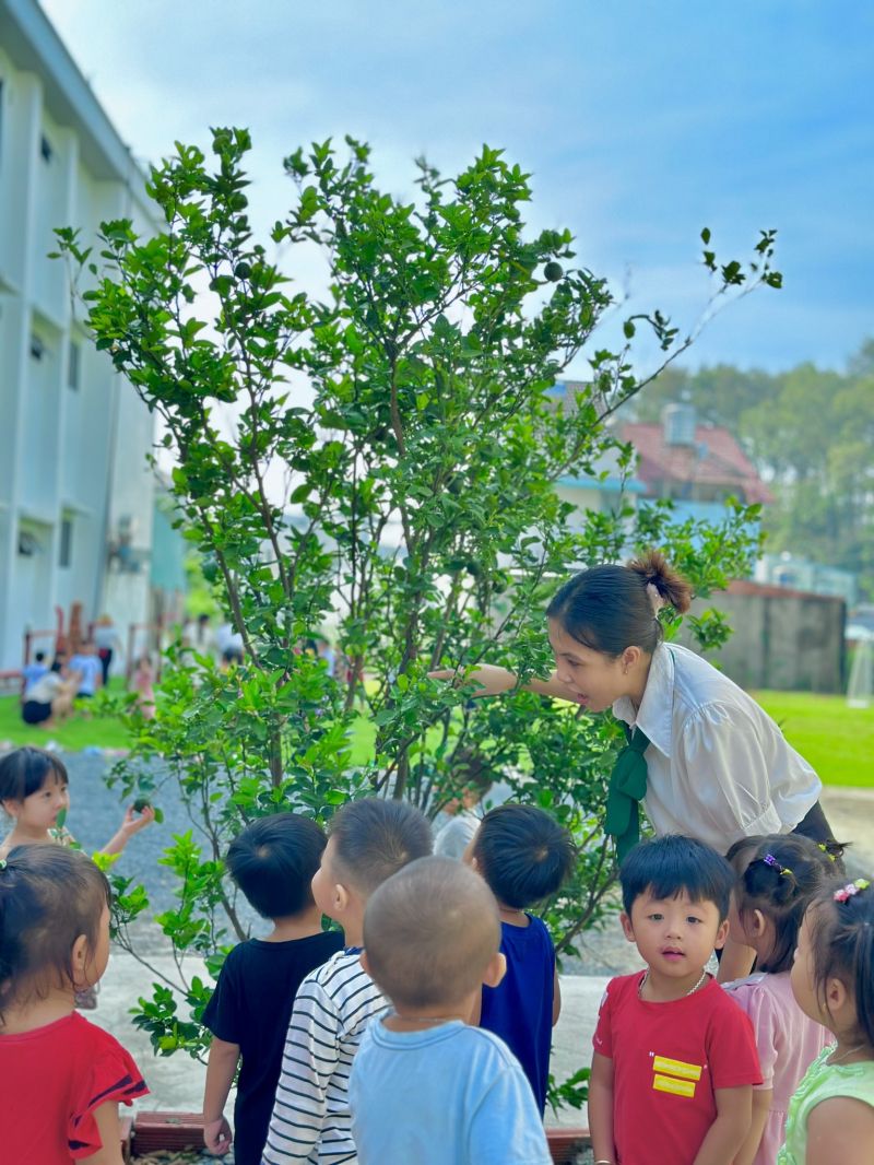 Trường Mầm Non Sammy Montessori