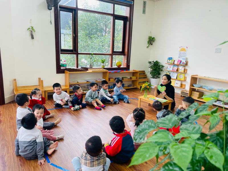 Mầm Non Sunflower Montessori