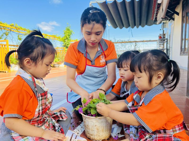 Trường Mầm Non Thảo Ngọc - Happy Pearl Montessori