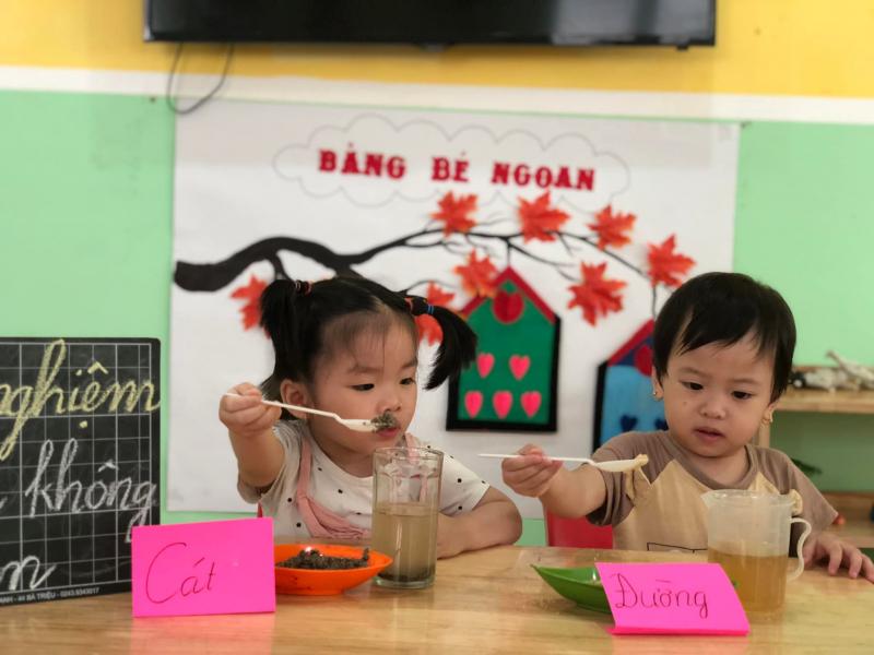 Trường mầm non Tiny Bear - Việt Trì