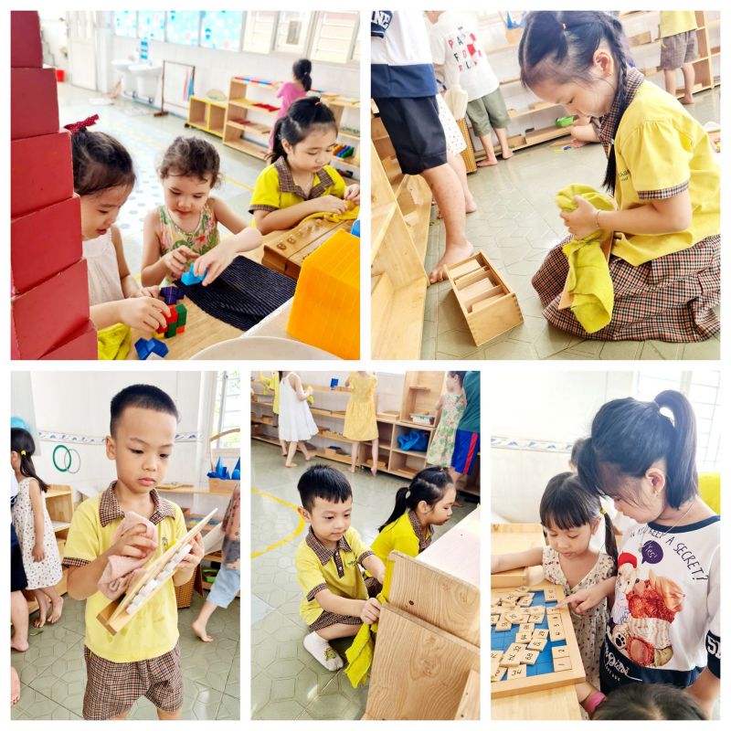 Trường mầm non Totto-chan Preschool