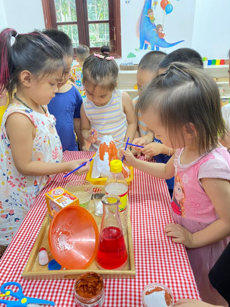 Mầm non Viet My Montessori